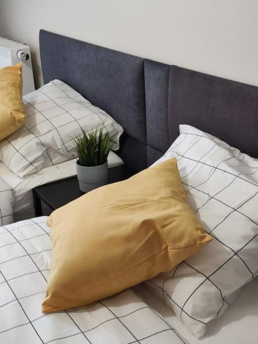 Piekny Apartament 3-Pokojowy Katowice Exteriör bild
